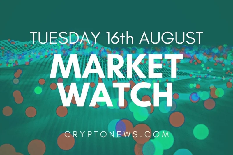 Crypto News: Trump's "Who?" and ETF Delays... What's the Deal?