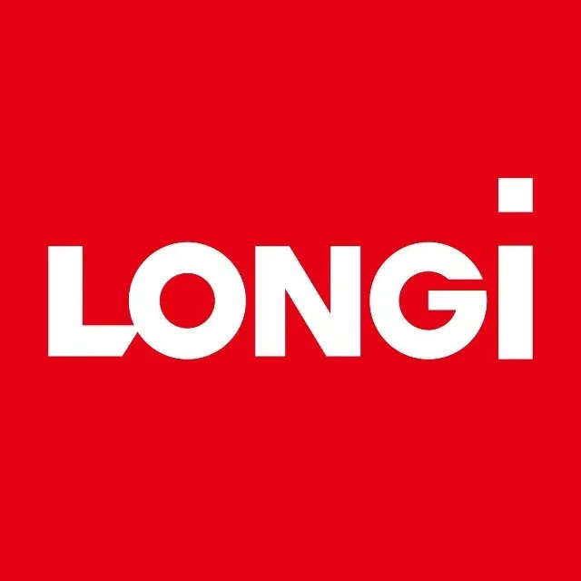 Longi Solar: Panels, Green Energy, and What We Know